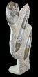 Fossil Goniatite & Orthoceras Sculpture - #62376-1